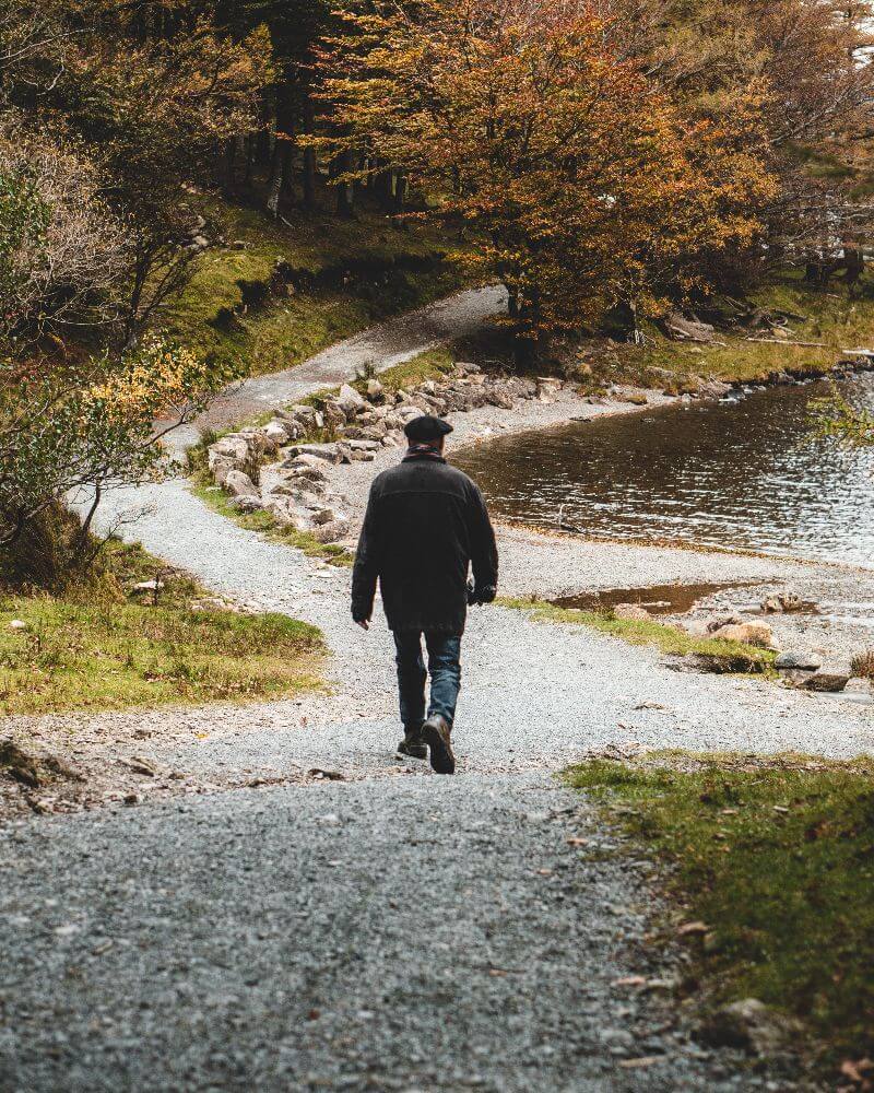 image of walking beside a lake