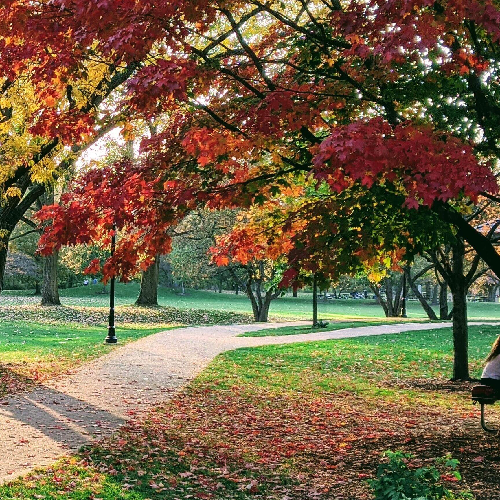 image of st. stephens green